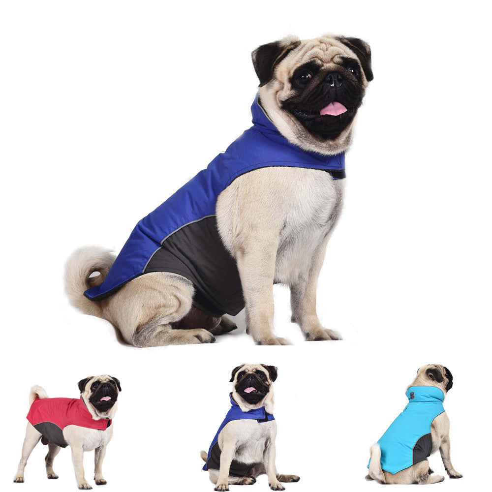 Furlow Calming Vest worn by dog — snug pressure design reduces anxiety in minutes